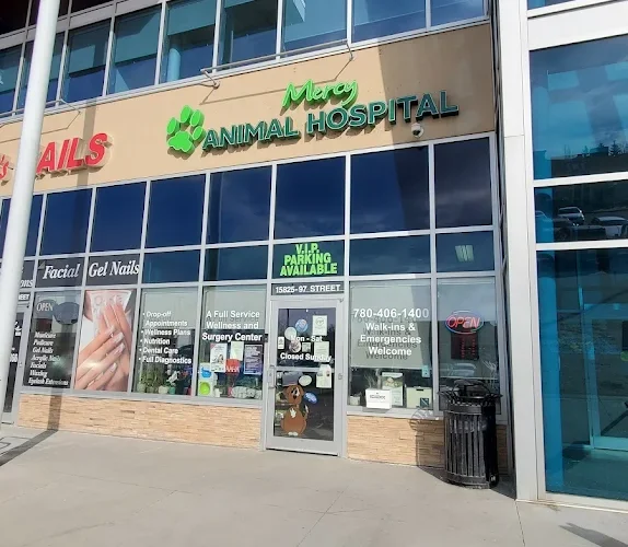 Mercy Animal Hospital