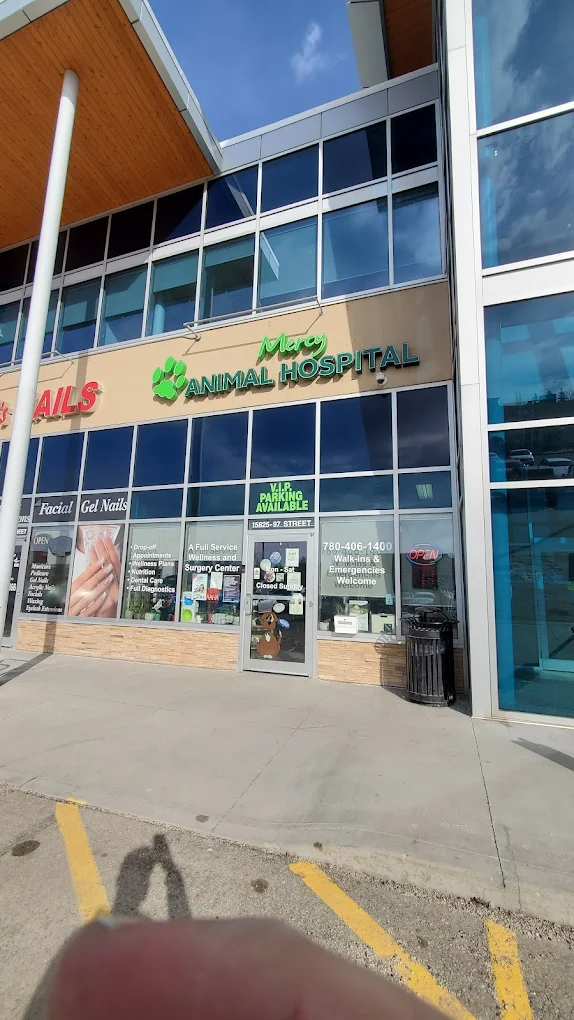 Mercy Animal Hospital