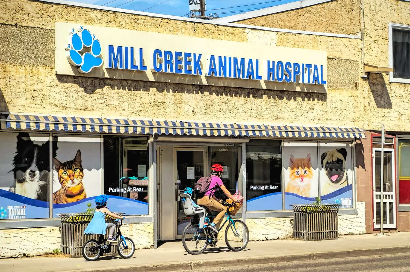 Mill Creek Animal Hospital