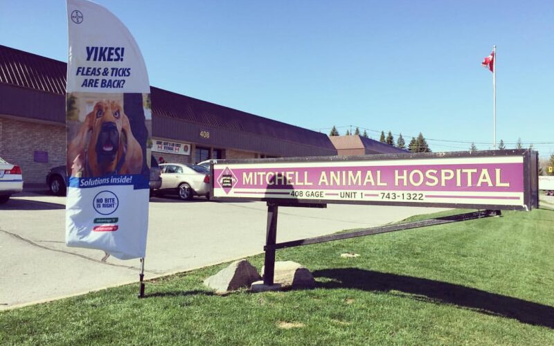 Mitchell Animal Hospital