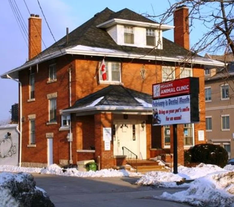 Mohawk Animal Clinic Upper James St.