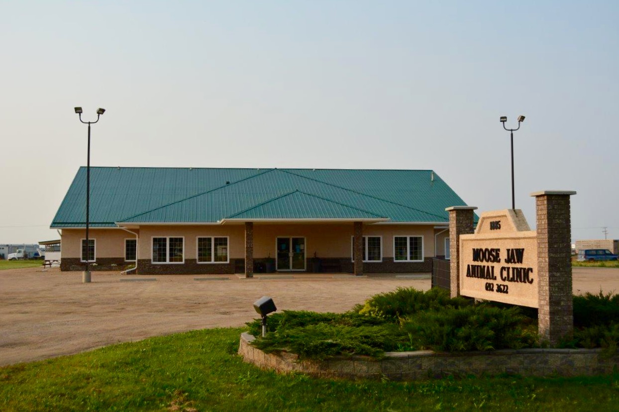 Moose Jaw Animal Clinic