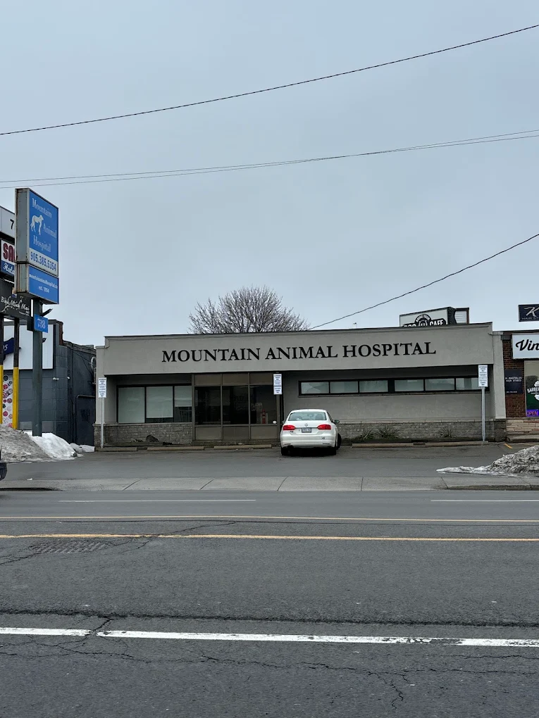 Mountain Animal Hospital
