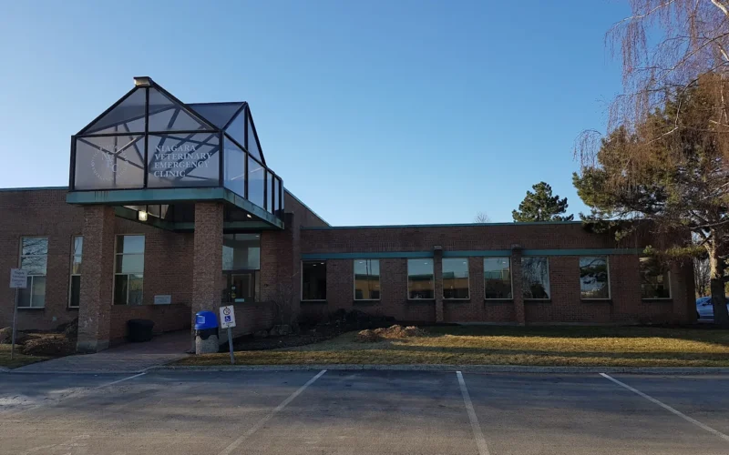 Niagara Veterinary Emergency Clinic (NVEC)