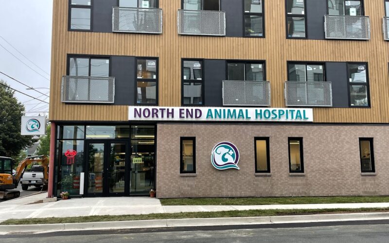 North End Animal Hospital