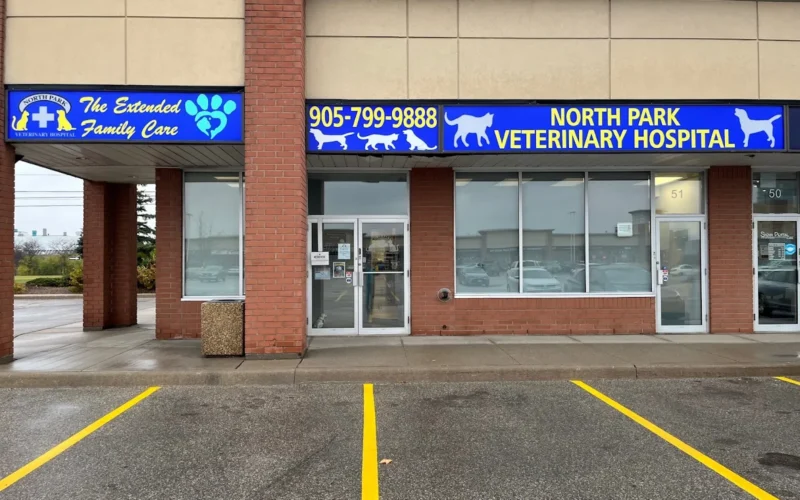 North Park Veterinary Hospital
