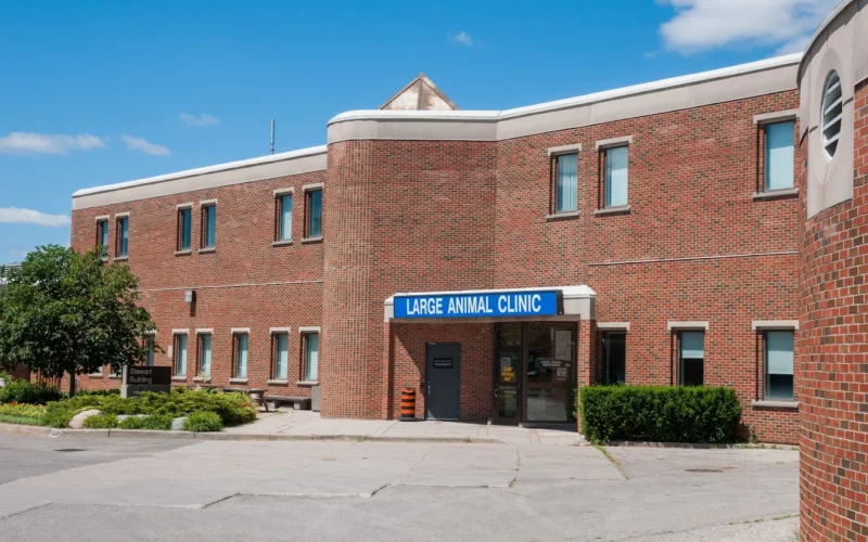 OVC Large animal clinic