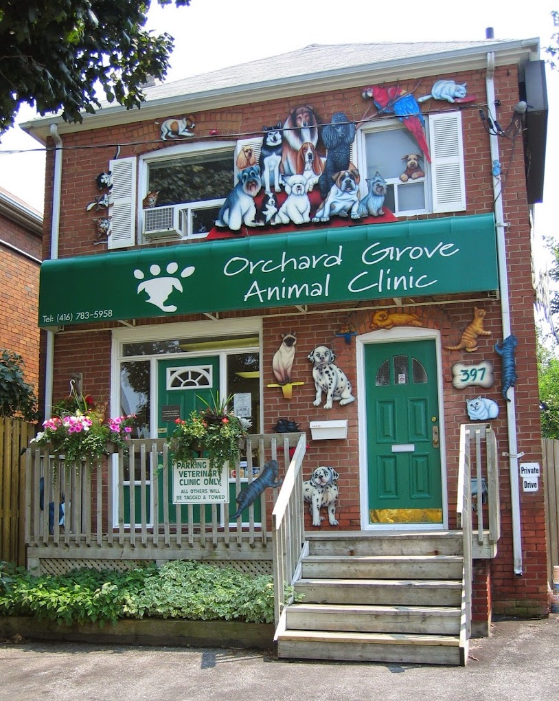Orchard Grove Animal Clinic
