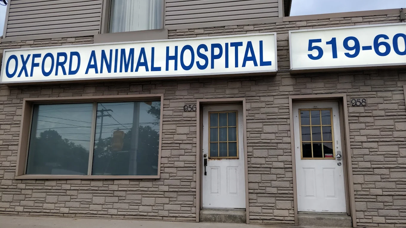 Oxford Animal Hospital