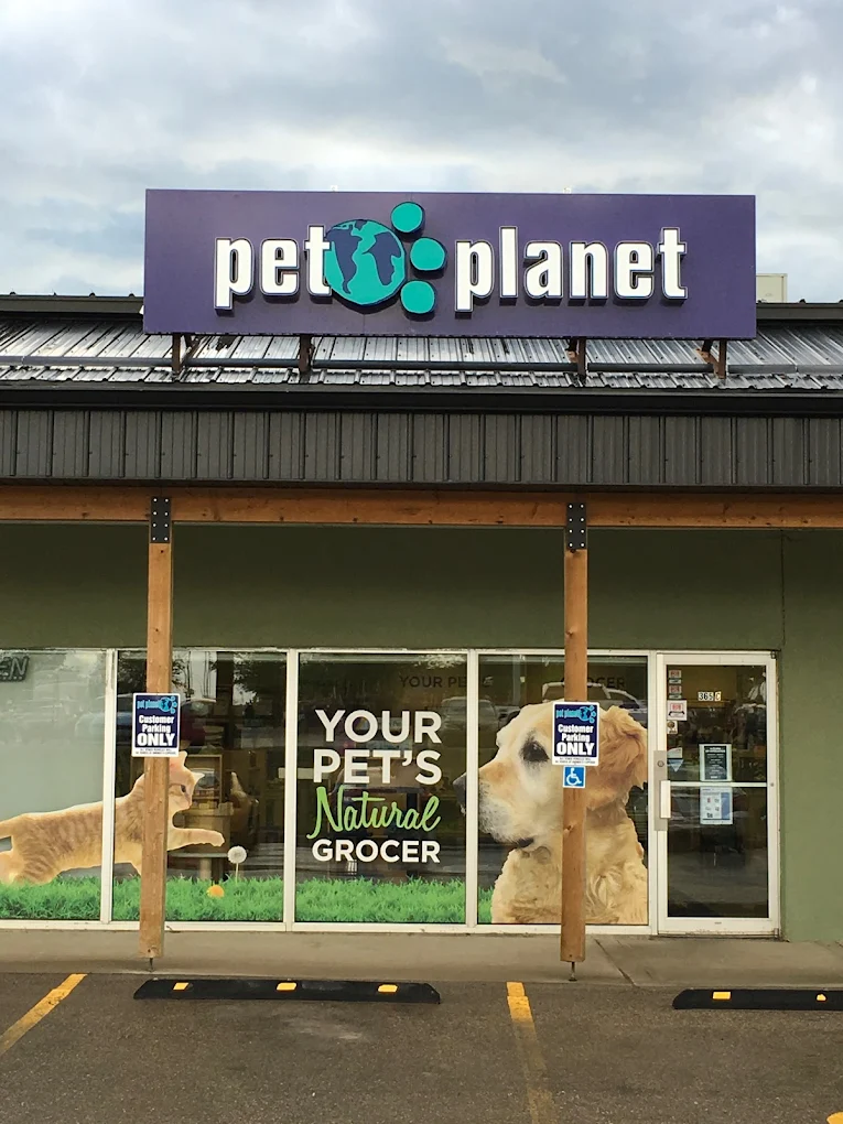 Pet Planet Prince Albert