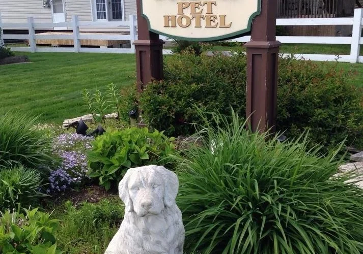 Pet Pleasure Resort