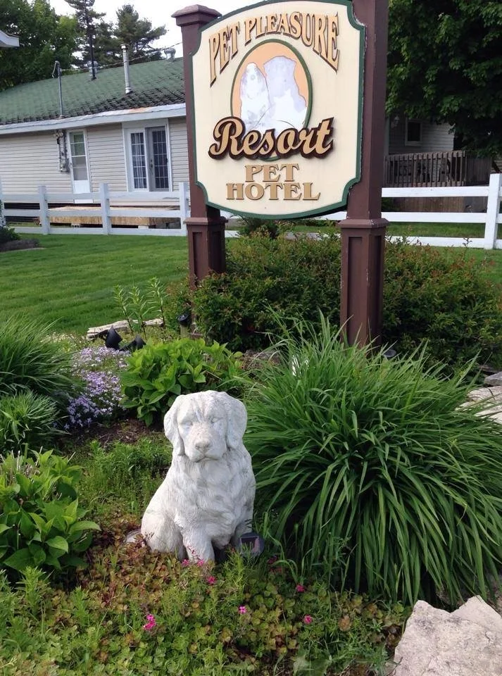 Pet Pleasure Resort