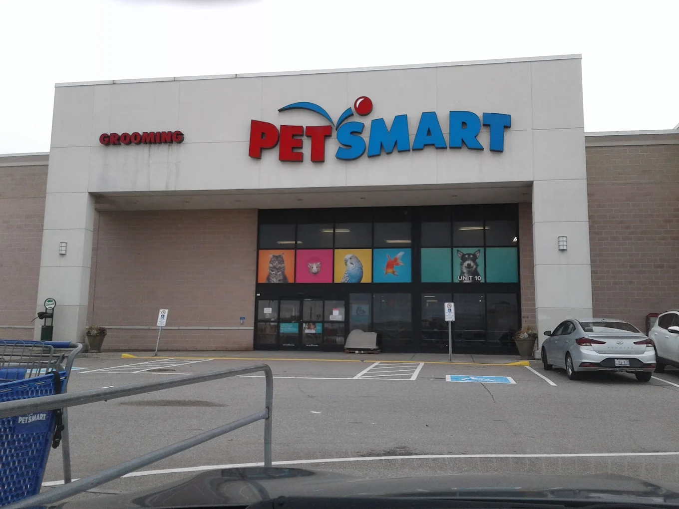 PetSmart