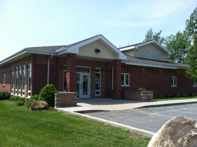 Princess Animal Hospital