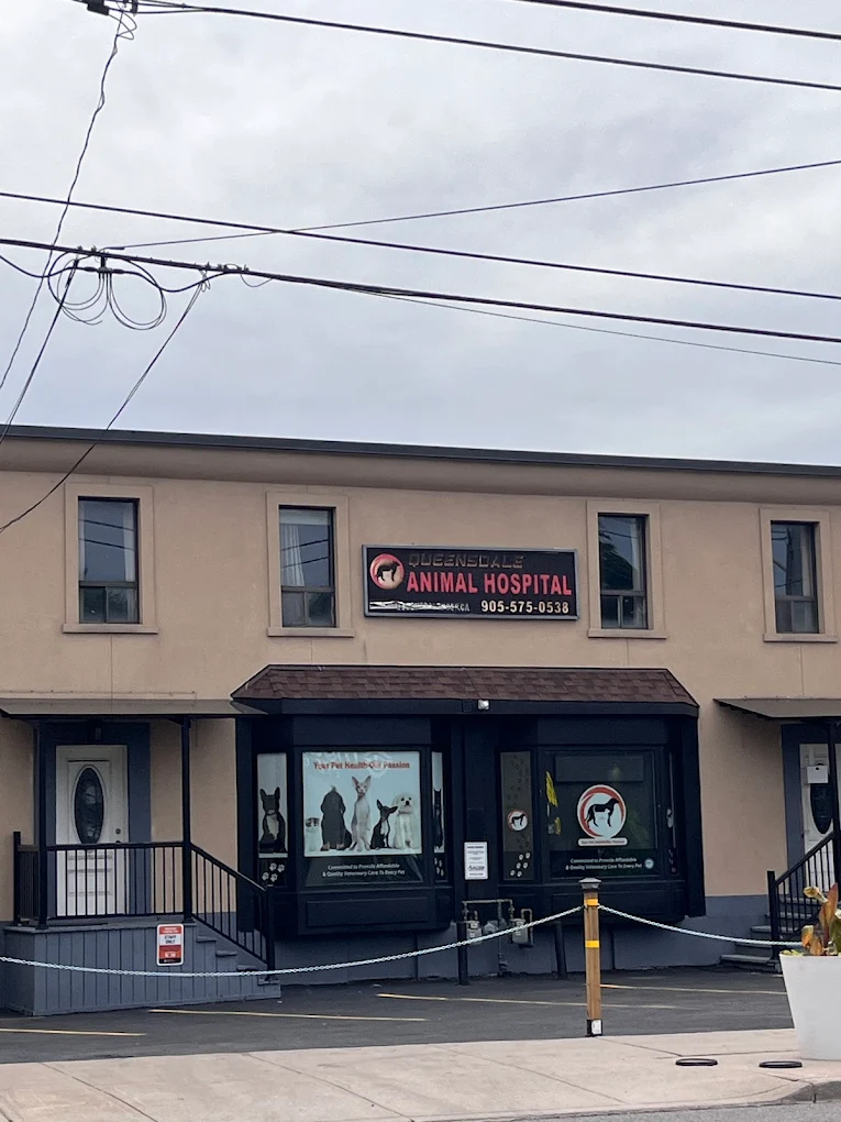 Queensdale Animal Hospital