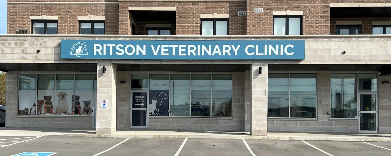 Ritson Veterinary Clinic