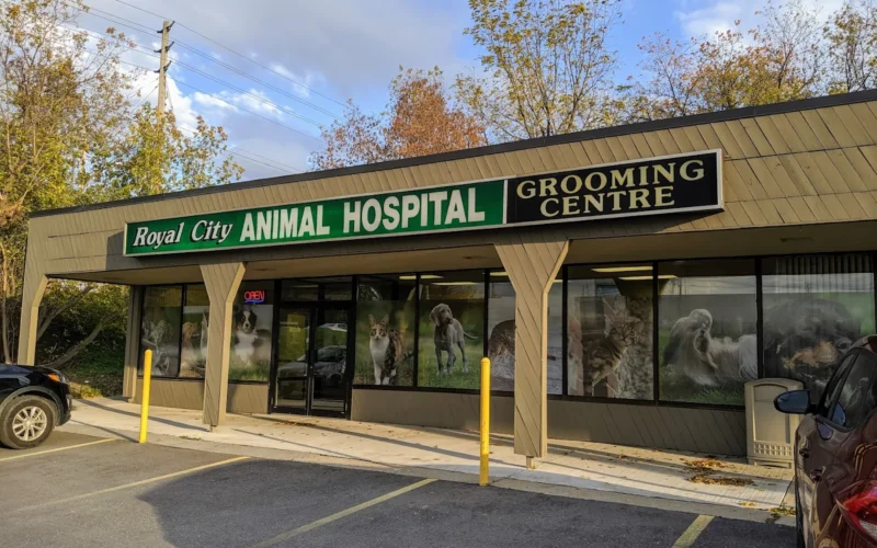 Royal City Animal Hospital