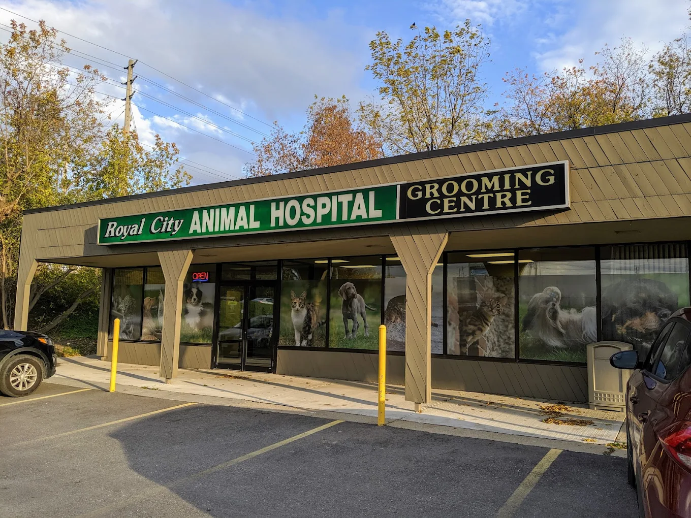 Royal City Animal Hospital
