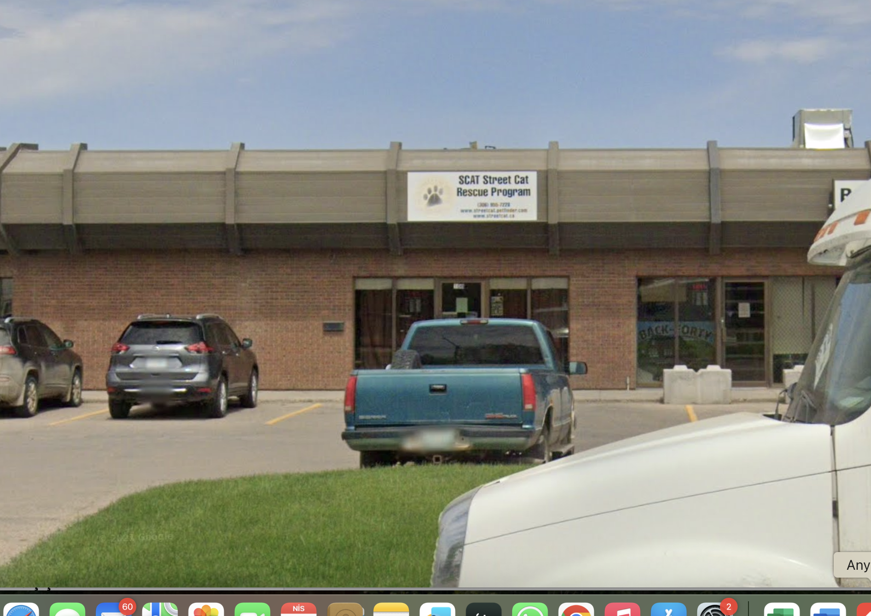 SCAT Street Cat Rescue Program