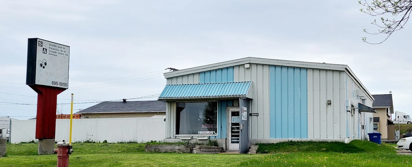 SPCA Saguenay