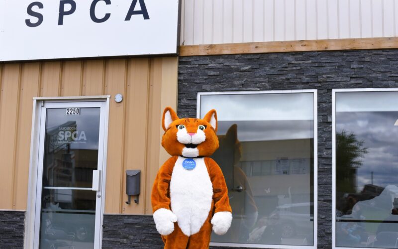 Saskatoon SPCA Incorporated