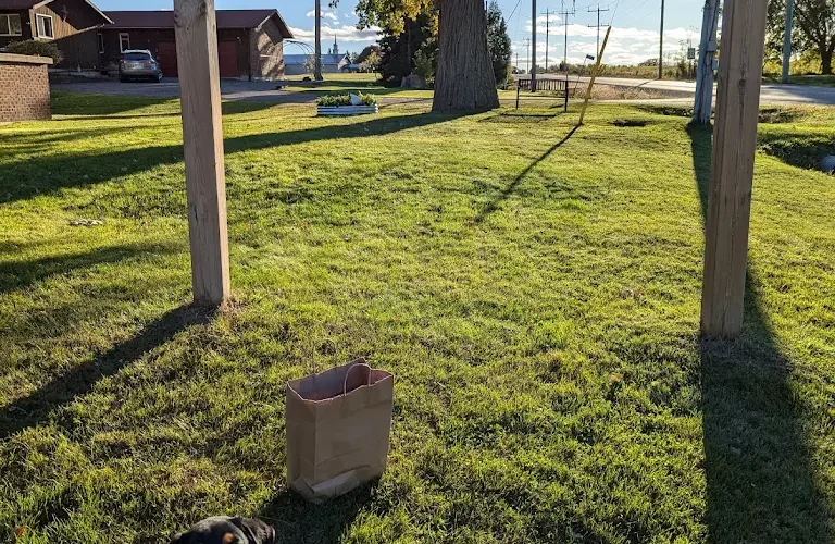 Seaway Veterinary Clinic