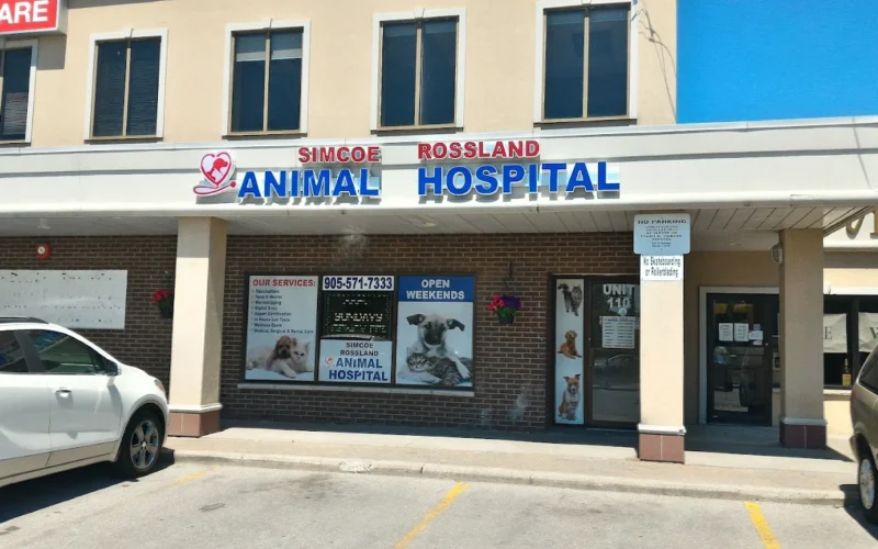 Simcoe Rossland Animal Hospital