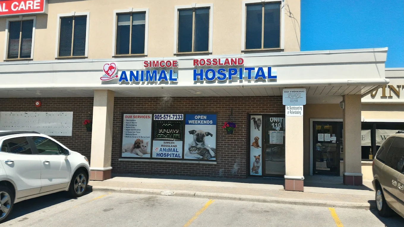 Simcoe Rossland Animal Hospital