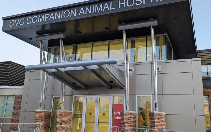 Small Animal Clinic - OVC HSC