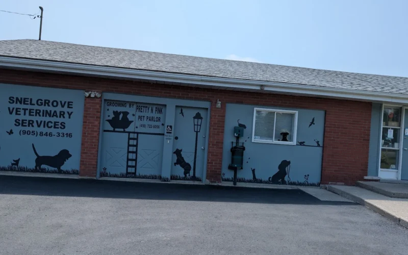 Snelgrove Veterinary Services