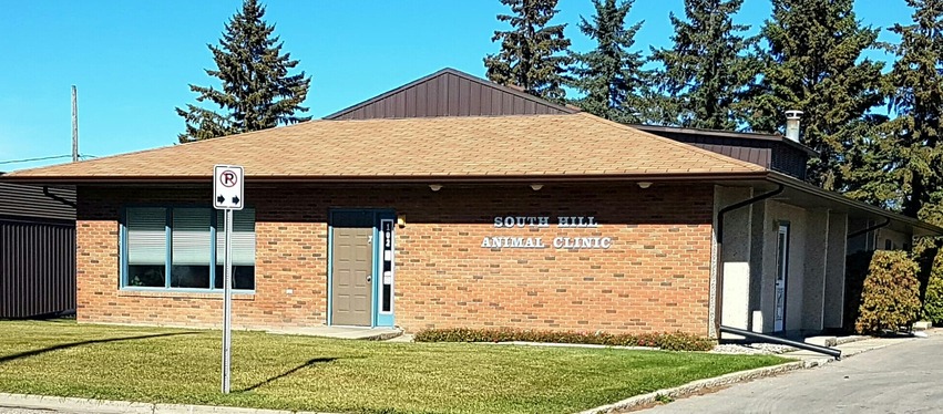 South Hill Animal Clinic