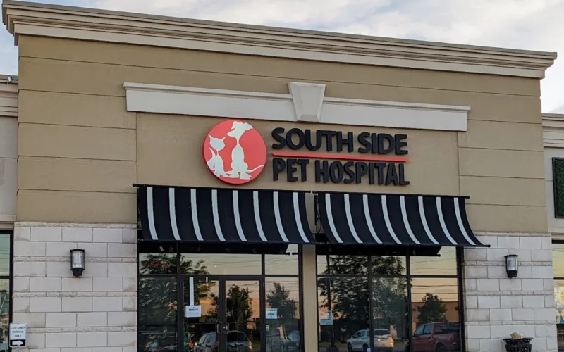 South Side Pet Hospital