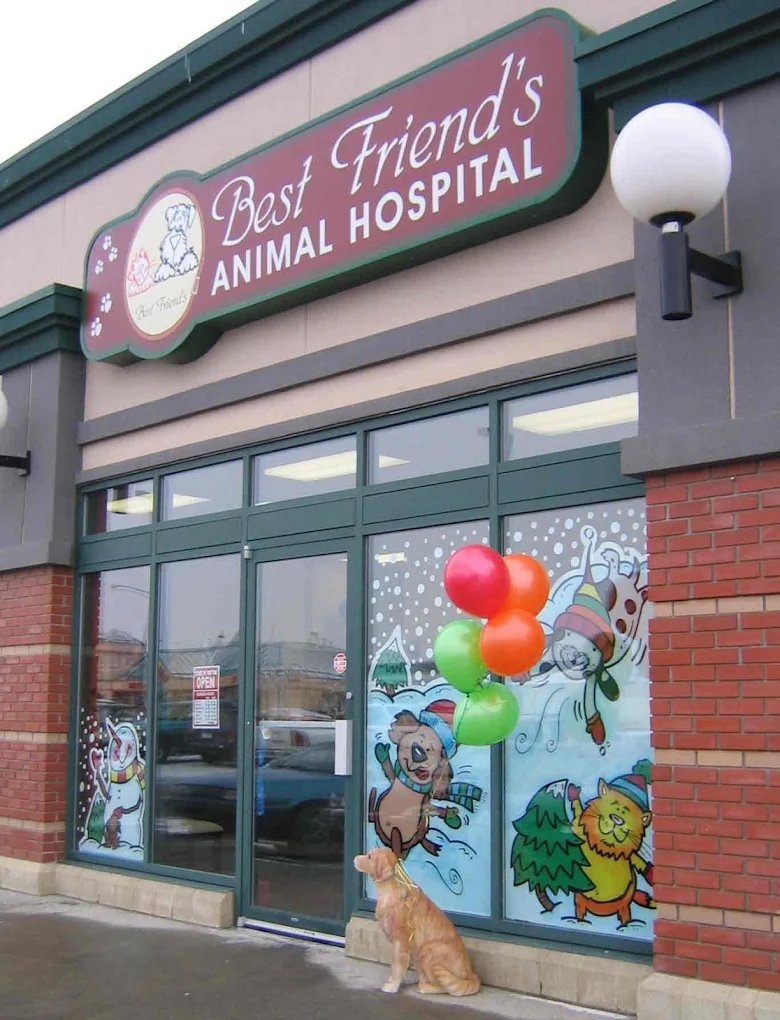 Best Friend’s Animal Hospital