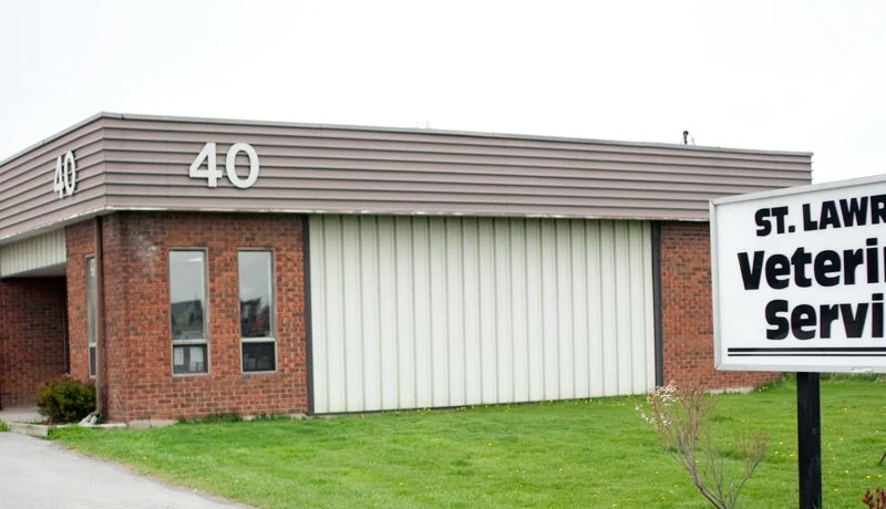 St Lawrence Veterinary Services