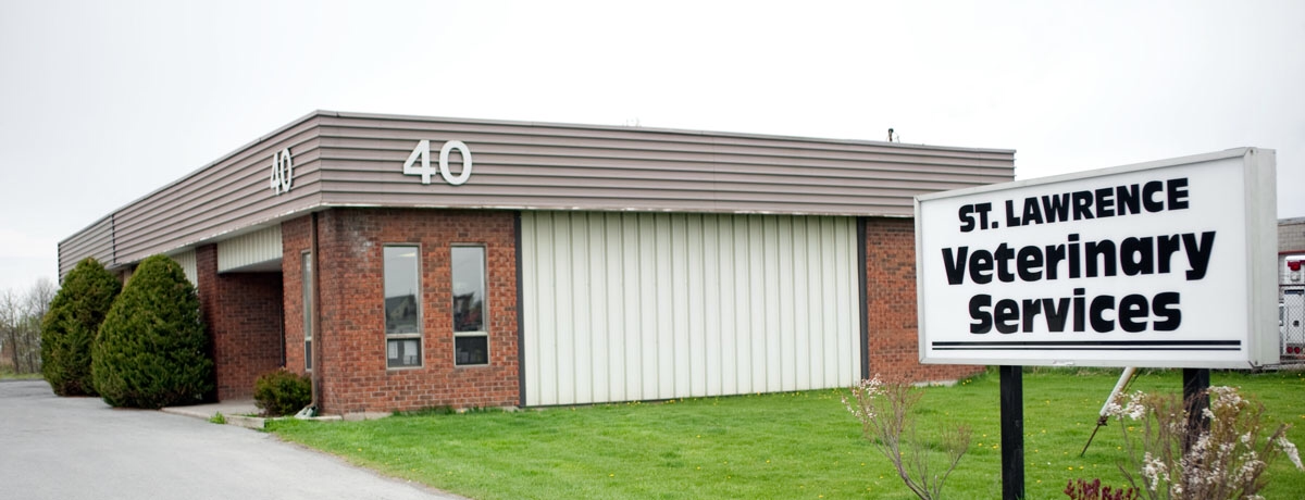 St Lawrence Veterinary Services