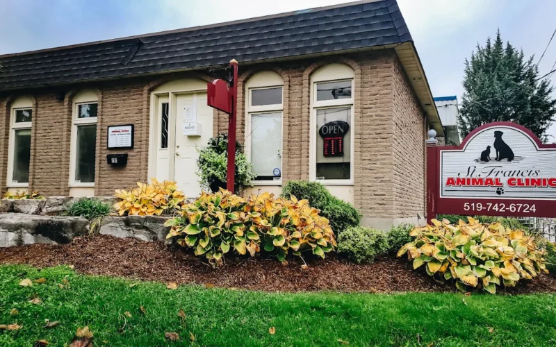 St. Francis Animal Clinic