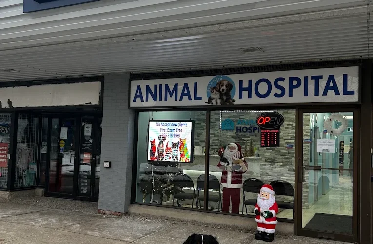 St. George Animal Hospital