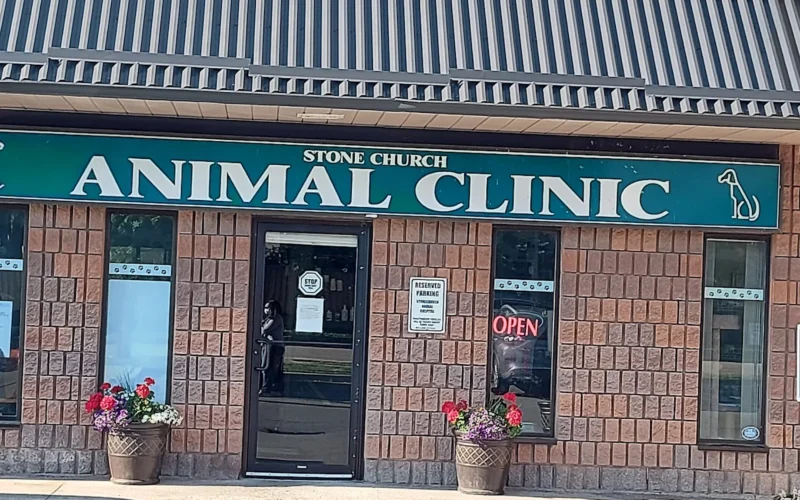 Stone Church Animal Clinic