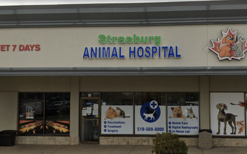 Strasburg Animal Hospital