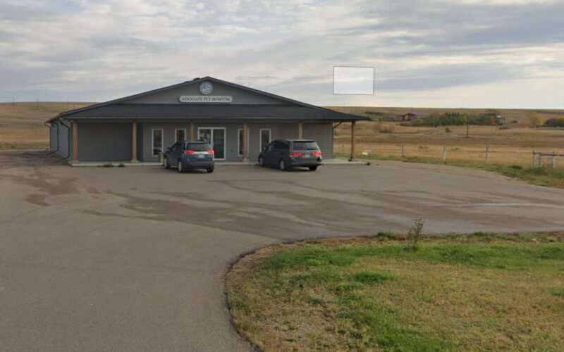 Associate Pet Hospital