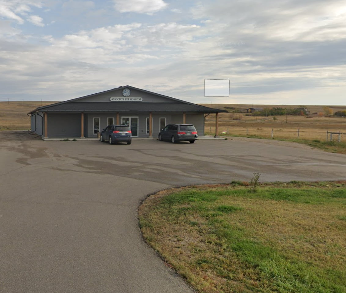 Associate Pet Hospital