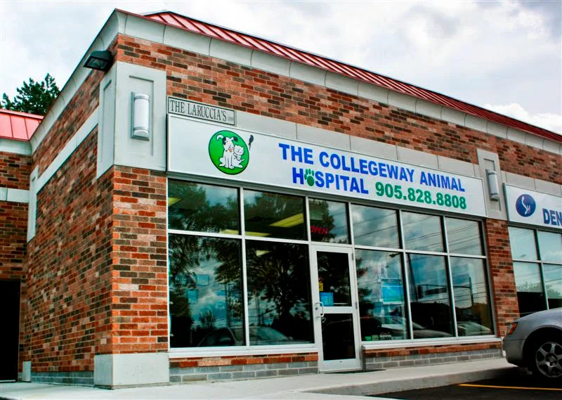 The Collegeway Animal Hospital