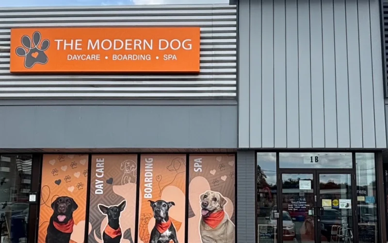 The Modern Dog Applewood