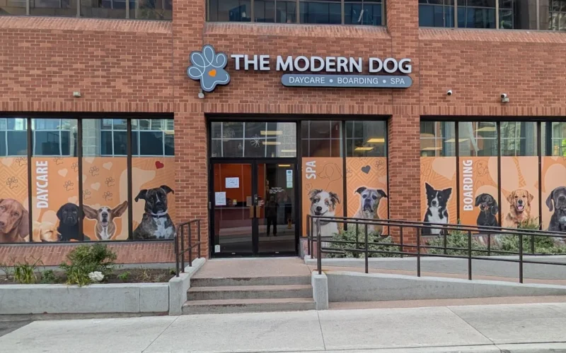 The Modern Dog Kitchener