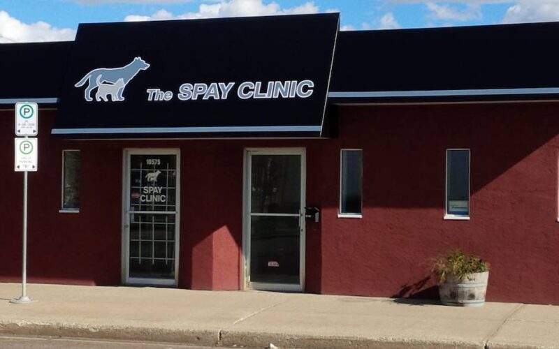 The Spay Clinic
