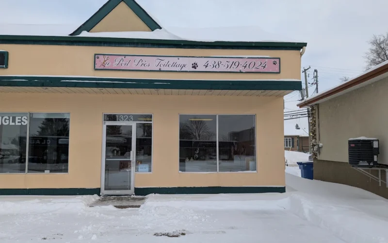 Toilettage Au poil près