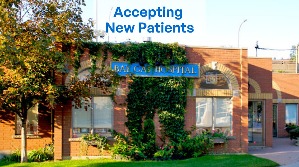 Bay Cat & Dog Hospital