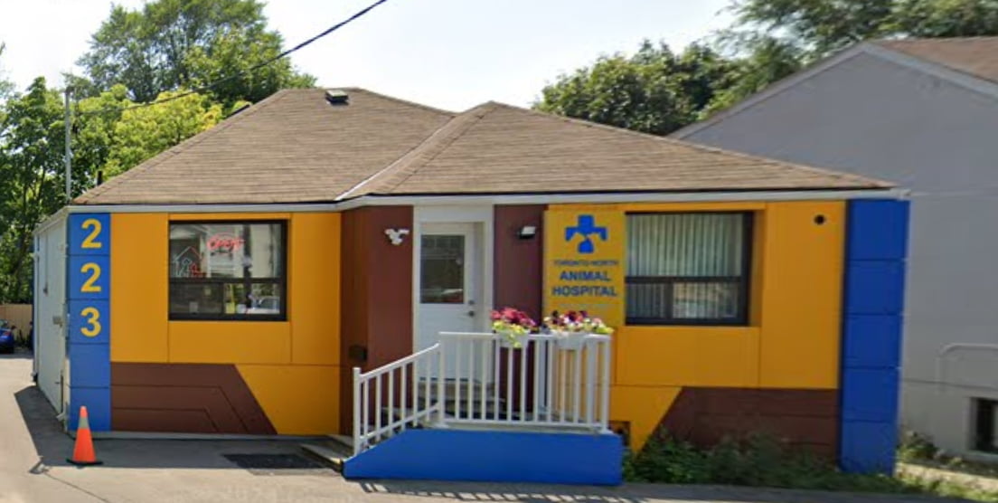 Toronto North Animal Hospital