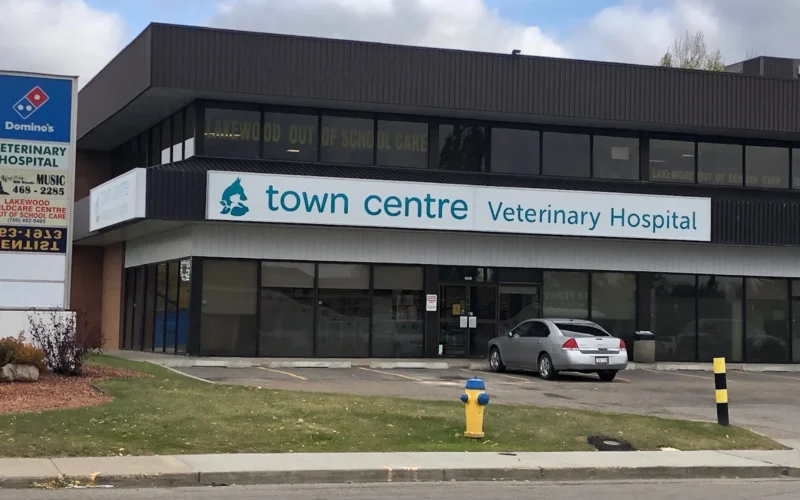 Town Centre Veterinary Hospital
