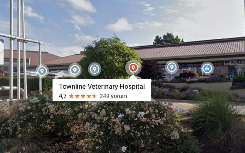 Townline Veterinary Hospital